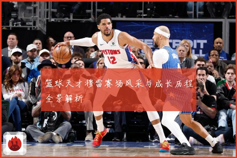 篮球天才穆雷赛场风采与成长历程全景解析